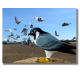 Image for article titled Fake Falcon Robots Scare the Shit Out of Nuisance Pigeons
